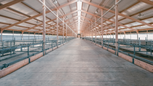 Anti-Mould & Anti-Fungal Farm Shed Treatments Baltinglass County Wicklow