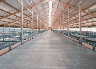 Anti-Mould & Anti-Fungal Farm Shed Treatments Arklow County Wicklow